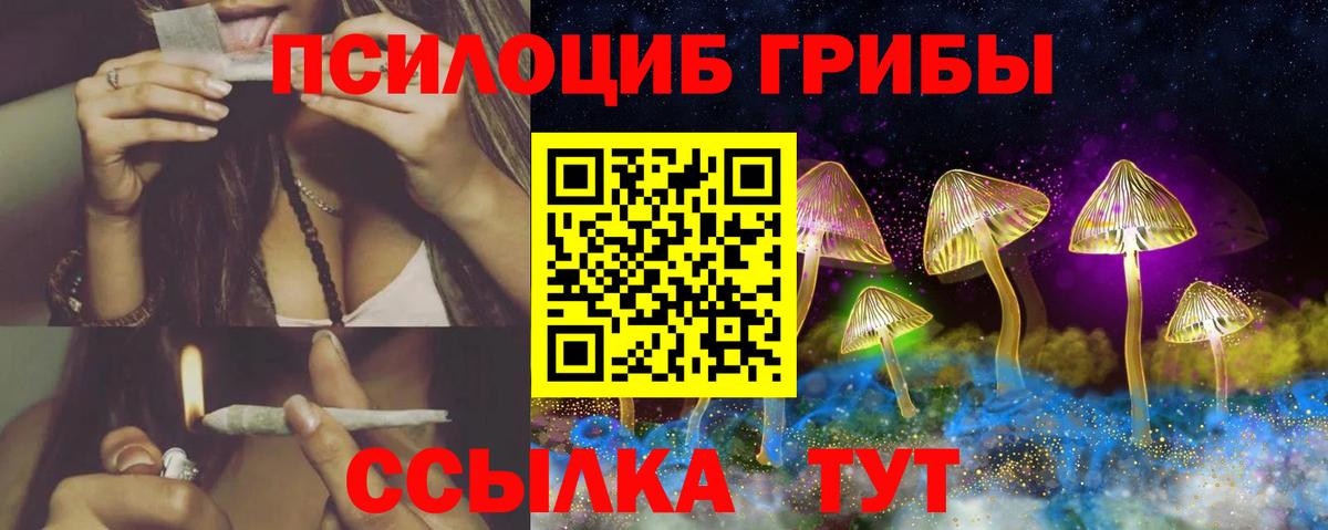 Тара  Псилоцибиновые грибы мицелий  Вход с VPN 